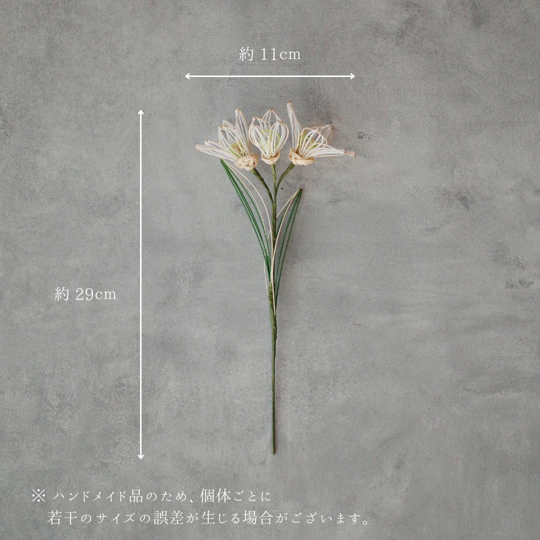 002-しらゆき / きらめくひとときの冬華